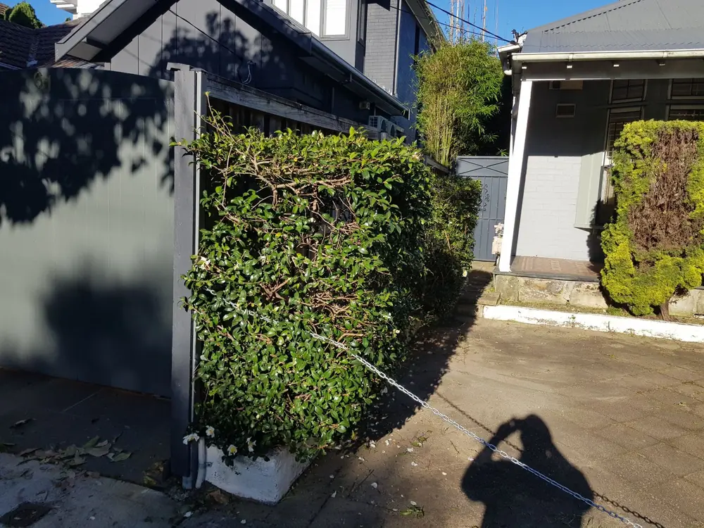 Front fence and seat: before